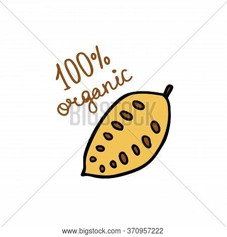 Cocoa Bean Doodle Icon, Vector Color Line Illustration