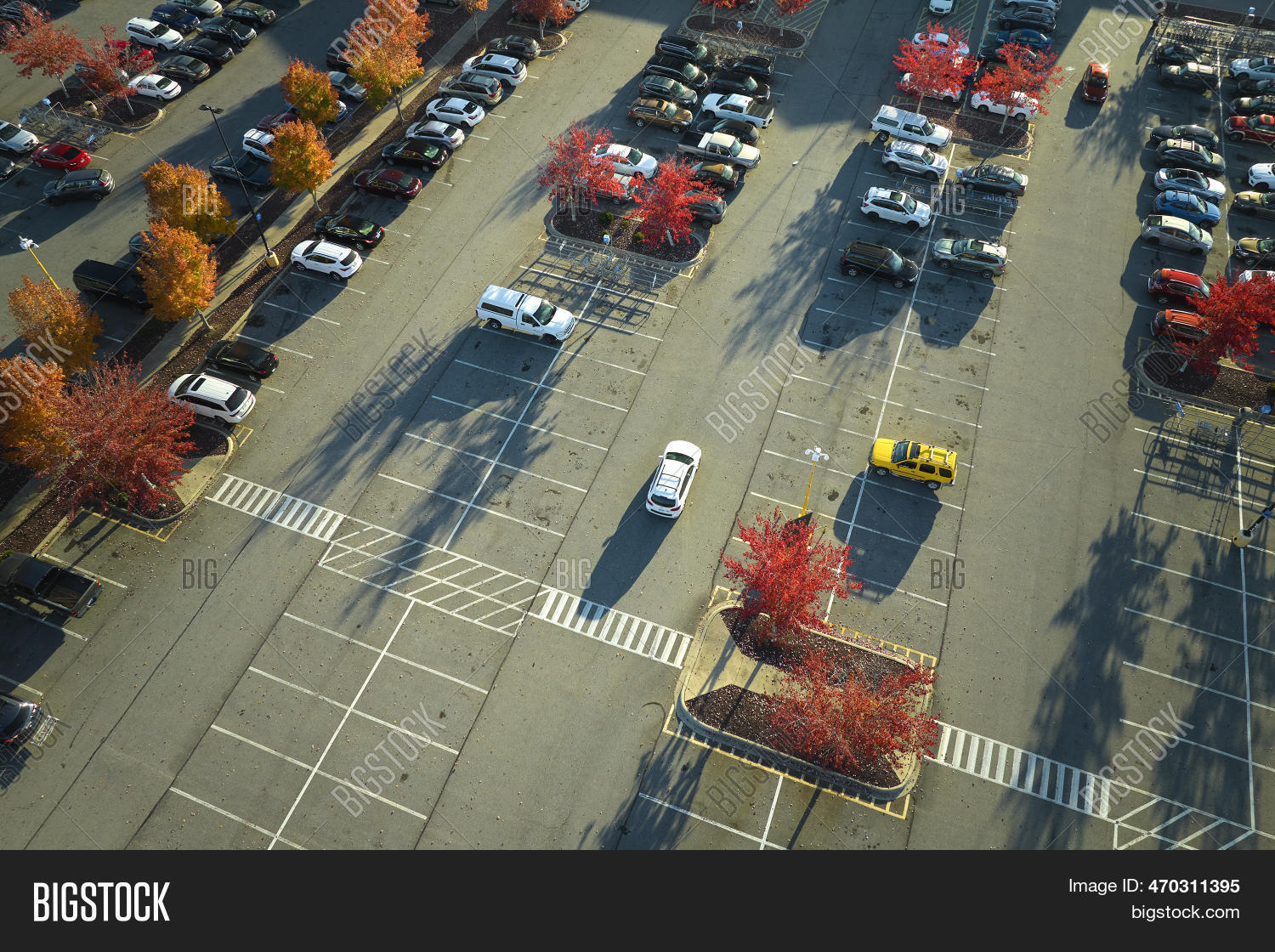 Top View Many Cars Image & Photo (Free Trial) | Bigstock