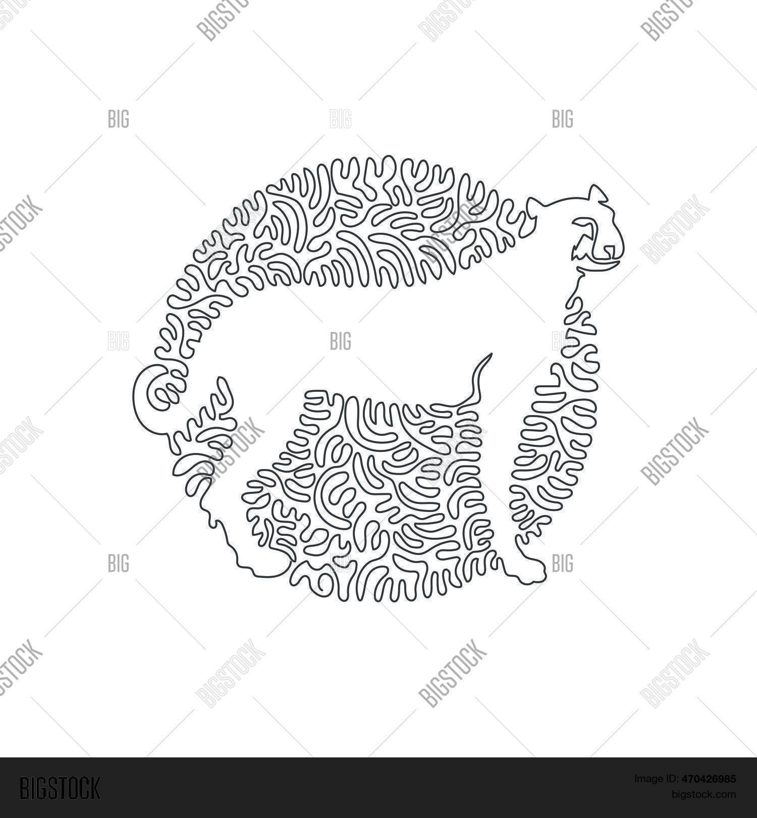 Continuous One Curve Vector & Photo (Free Trial) | Bigstock