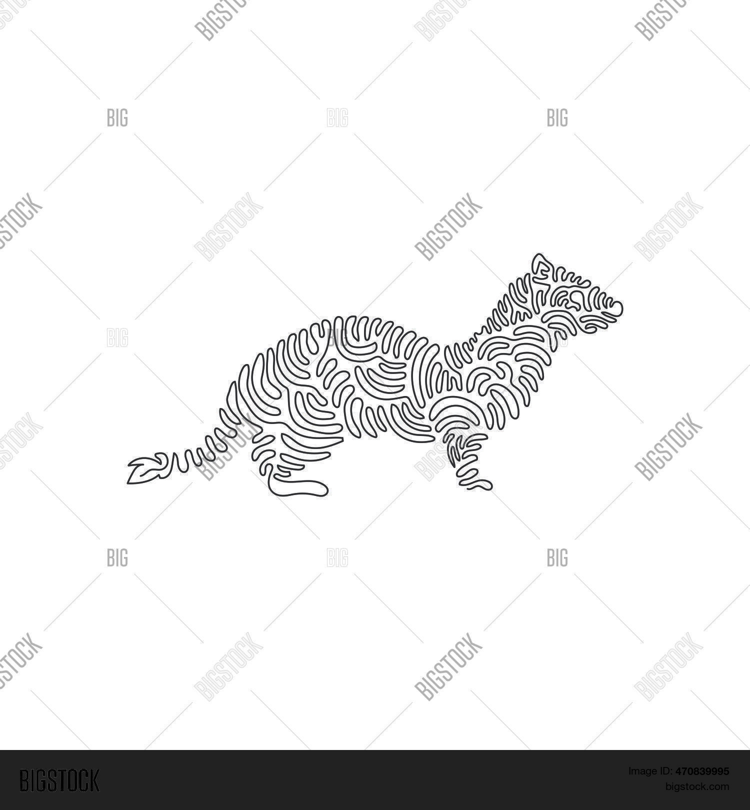 Continuous Curve One Vector & Photo (Free Trial) | Bigstock