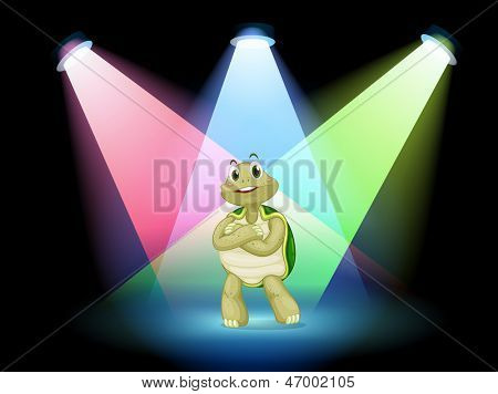 Illustration af en skildpadde stående på stadiet