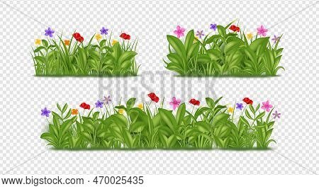 3d Grass Garden, Park Flowers Set. Realistic Spring Clover Or Lavender Field, Green Lawn, Outdoor Pl