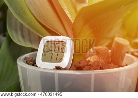Measurement Of Humidity And Temperature Of Houseplants. Thermometer-hygrometer On The Background Of 