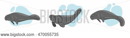 Manatees. Sea Cows Swimming Underwater. Set Of Marine Dwellers. Concept Of Sea And Ocean Life. Vecto