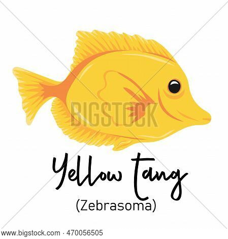 Yellow Tang Or Zebrasoma Fish. Marine Dweller With Colorful Body And Fins For Swimming. Concept Of S