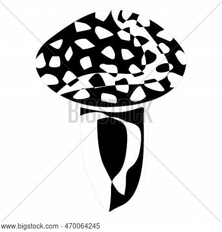 Puffball Mushroom Outline. Edible Organic Mushrooms. Truffle. Forest Wild Mushrooms Types. Colorful 
