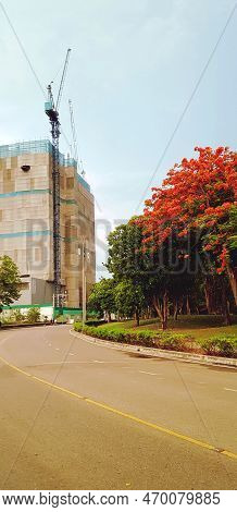 Beautiful Curve Rood To Construction Building With Crane And Big Red Or Orange Flower Tree With Sky 