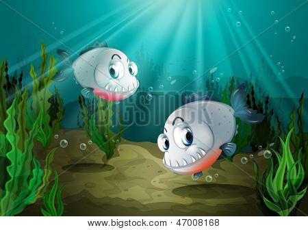 Illustrazione dei due pesci con affilati denti sotto il mare