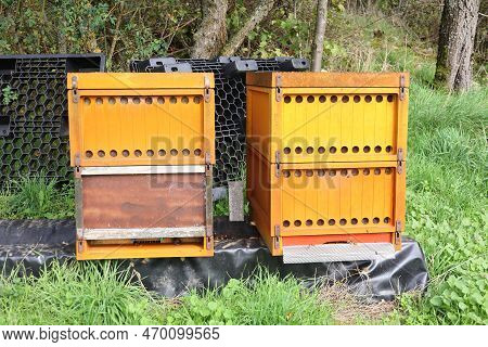 Beehives On A Meadow Near Weissach In The Summer