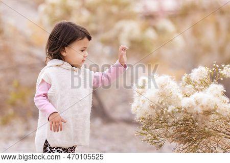 Little Toddler Girl Playing With Bush In Winter Season, Childhood Memories