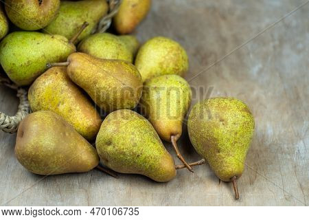 Pears In Basket On A Wooden Background. Fruit Harvest. Autumn Still Life. Pear Variety Bera Conferen