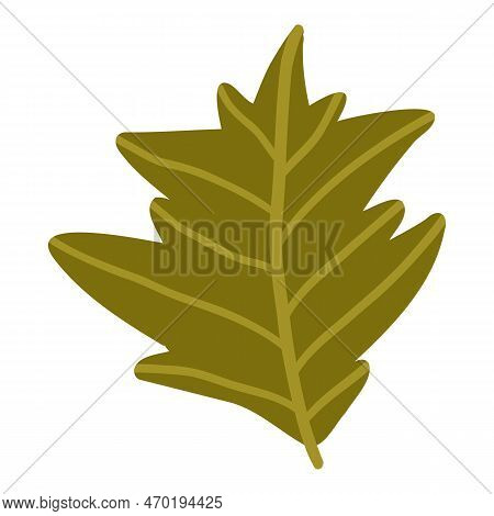Colored Pumpkin Leaf Hand Drawn Vector Graphic Illustration. Colorful Drawing Autumn Vegetable Whole