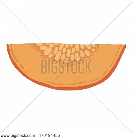 Colored Pumpkin Hand Drawn Vector Graphic Illustration. Colorful Drawing Autumn Vegetable Whole, Sli