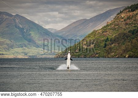 Queenstown, New Zealand - 20th December 2022: A Seabreacher Submersible Jet Boat Liveried As A Great