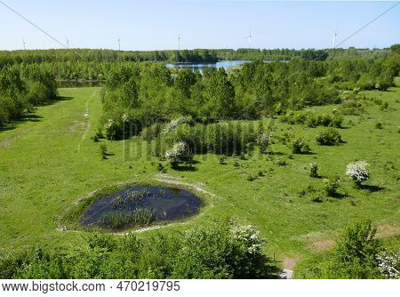 Bird's Eye View Of The Horsterwold, The Largest Deciduous Forest In The Netherlands. It Is A 
Plante