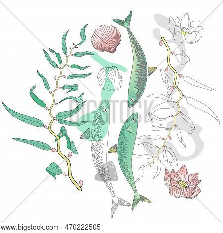 Set Of Under Water Life For Design Isolated On White