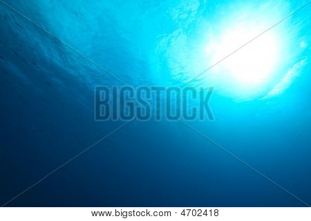 Mare, sole e pesce