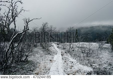 Dark Moody Foggy Landscape, Path In Norwegian Mountain To The Top Of Rogne