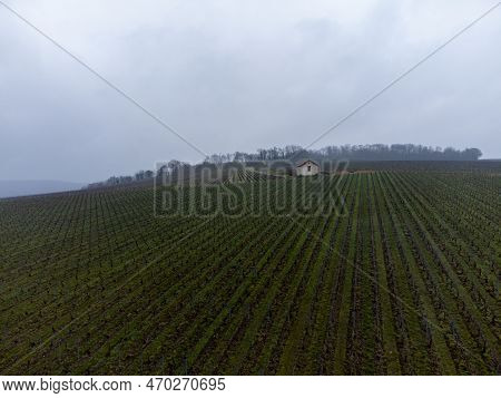 Winter View On Val De Livre En Gran Cru Vineyards Of Famous Champagne Houses In Montagne De Reims, C