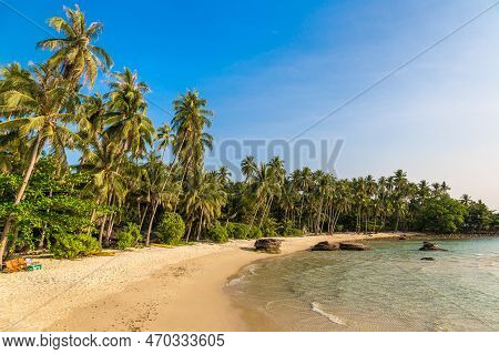 Beautful Tropical Beach In A Sunny Day