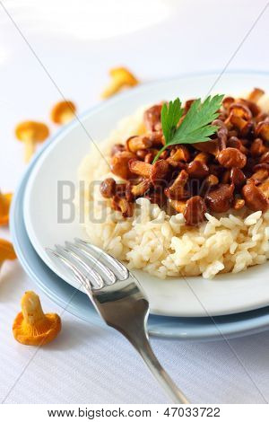 Risotto z Pieprznik jadalny