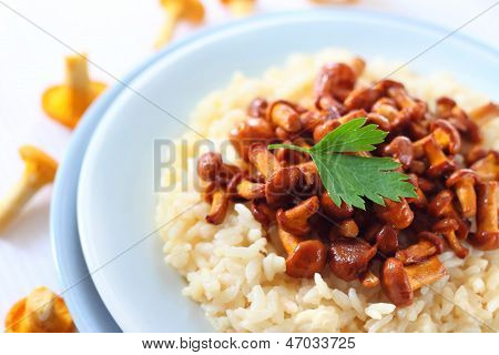Risotto z Pieprznik jadalny