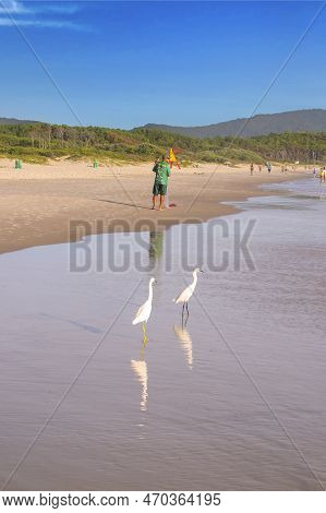 Florianopolis, Brazil - January 21, 2023 : Man With Birds In The Beach Praia Da Barra Da Lagoa In Fl