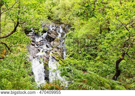 Wonderful Natural Landscape At Strone Hill Forestry