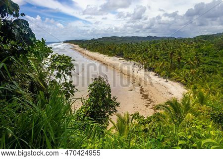 Trees And Sand At Itacarezinho Beach, Itacare, Bahia, Brazil