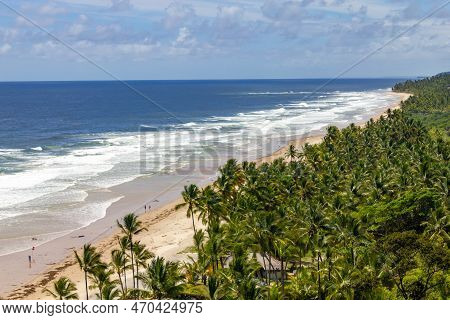 Trees And Waves At Itacarezinho Beach, Itacare, Bahia, Brazil