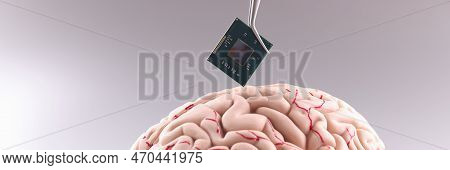 Anatomy Of Human Brain With Computer Chip. Artificial Intelligence Chips Concept