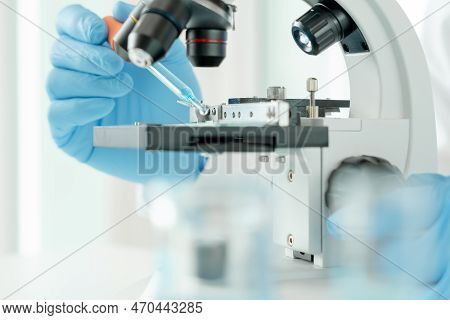 Scientist Check Chemical Food Residues In Laboratory. Control Experts Inspect Quality Of Fruits, Veg