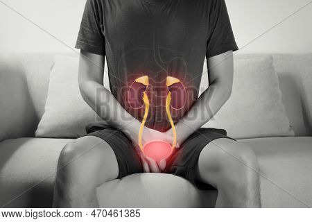 Urethra And Kidneys, A Man With Hands Holding Her Crotch. Male Anatomy Concept.