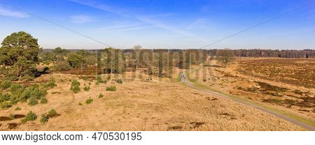 Panorama Of The Heather And Dunes In National Park Drents Friese Wold, Netherlands
