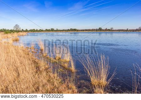 Frozen Lake In The Winter In Drents Friese Wold National Park, Netherlands