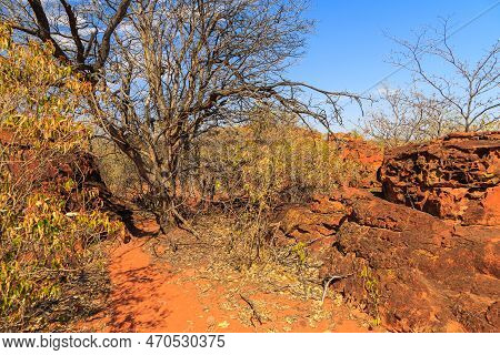Waterberg Plateau National Park, Kalahari, Otjiwarongo, Namibia, Africa. Beautiful African Landscape
