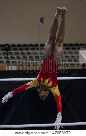 Ginna Betancur (col)