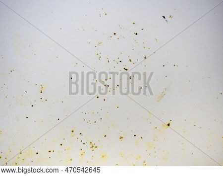 Mold On Bathroom Enamel. Black Dots Of Mold And Yellow Plaque. Requires Cleaning. Before Using Clean