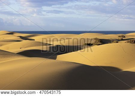 Golden Hour At Maspalomas Dunes