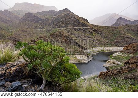 The River's Path: A Journey Through The Mountains