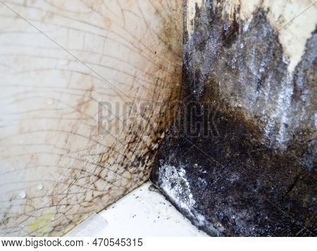 Mold In The Bathroom. Black Dots Of Mold And Yellow Plaque. Black Mold Dirt On Tiles. Requires Clean