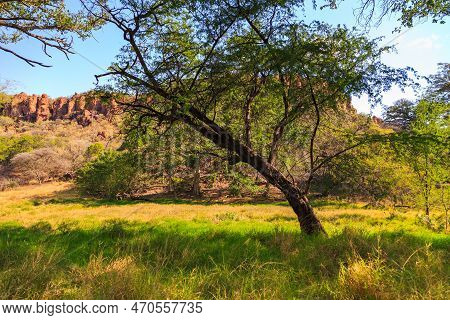 Waterberg Plateau National Park, Kalahari, Otjiwarongo, Namibia, Africa. Beautiful African Landscape