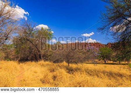 Waterberg Plateau National Park, Kalahari, Otjiwarongo, Namibia, Africa. Beautiful African Landscape