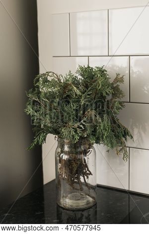 Green Branch Of Juniper In Glass Vase On Kitchen. Still Life