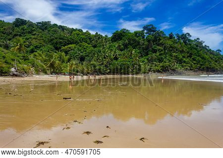 Forest And  Waves At Engenhoca Beach