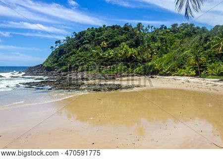 Rocks And Forest At Camboinha Beach