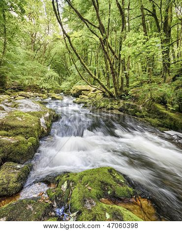Golitha Falls In Cornovaglia