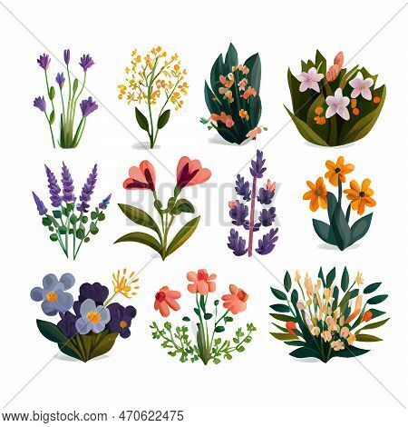 Set Vector Illustration Of Bloming Flowers Isolate Background International Women's Day And Spring F