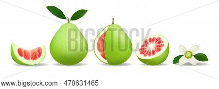 Pomelo Whole Slices Half And Flower. Shaddock Fruit Elements Isolated, Green Pomelos Citrus With Lea