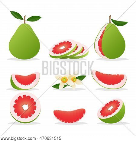 Pomelo Cartoon Style. Ripe Pomelos Cuts Slices Flowers, Shaddock With Green Rind And Pink Pulp Isola